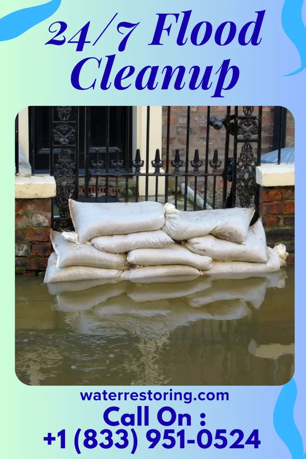 24/7 Flood Cleanup in Good Hope, IL