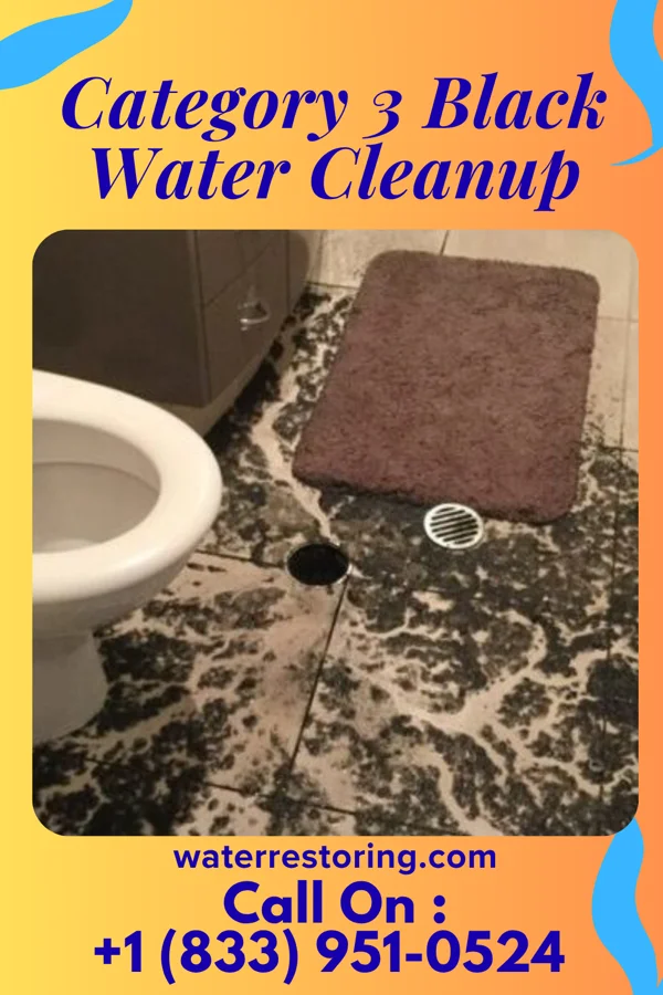 Category 3 Black Water Cleanup in Good Hope, IL
