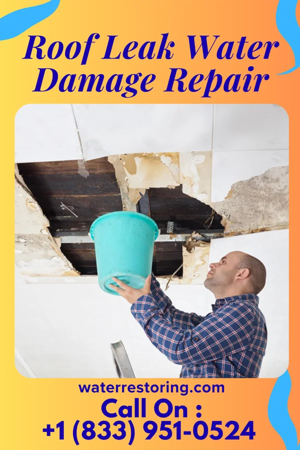 Roof Leak Water Damage Repair in Good Hope, IL