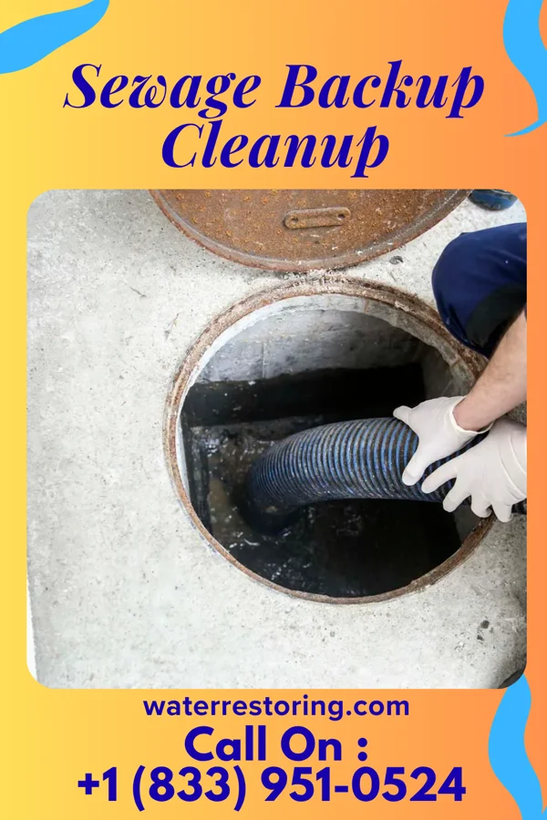 Sewage Backup Cleanup in Good Hope, IL